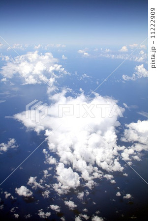 夏の太平洋上に発生し発達した積雲と層雲 11222909