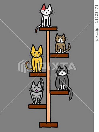 キャットタワー キャットタワー 11223471