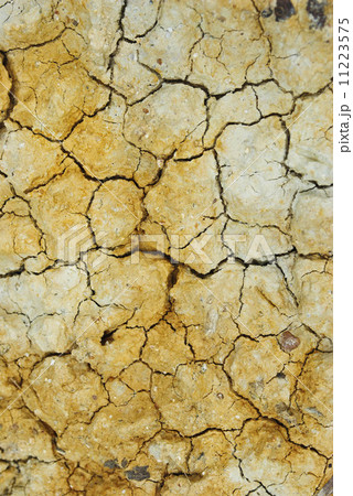 Dry soil texture Dry soil texture 11223575