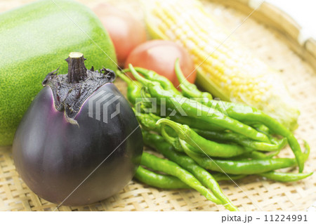 夏野菜収穫 夏野菜収穫 11224991