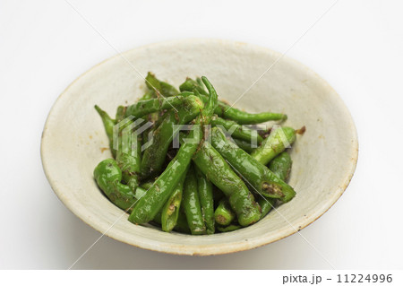 伏見甘長とうがらし 11224996