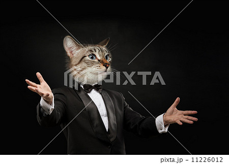 Business man cat head Business man cat head 11226012