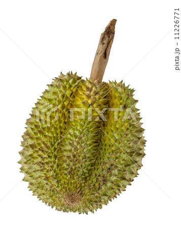 Durian fruits 11226771