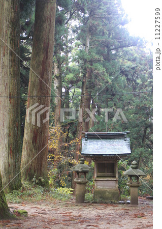 山王院 11227599