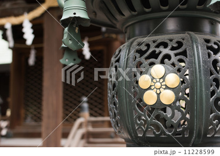 Japanese style lantern 11228599