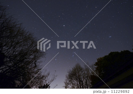 星空 11229892