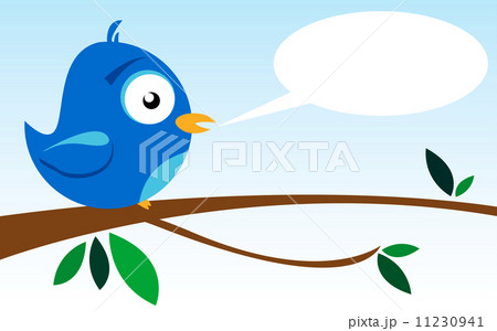 Bird on a Branch 11230941