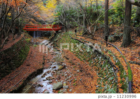 晩秋の大原三千院 11230996