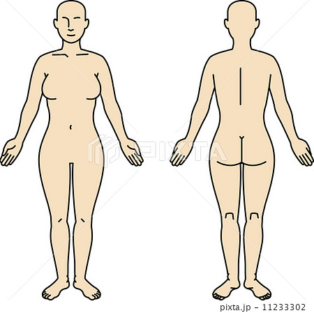 人体全身図女性のイラスト素材 11233302 Pixta