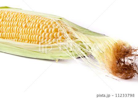 とうもろこし 11233798
