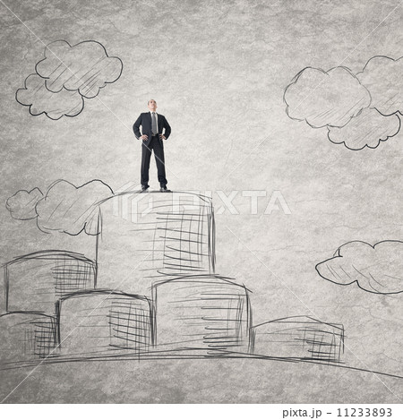 Successful Asian businessman Successful Asian businessman 11233893