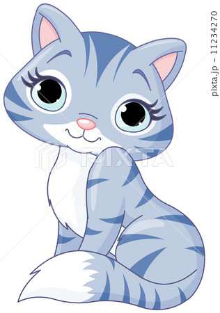 Cute kitten 11234270