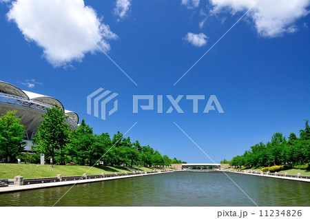 ビッグスワンと雲 11234826