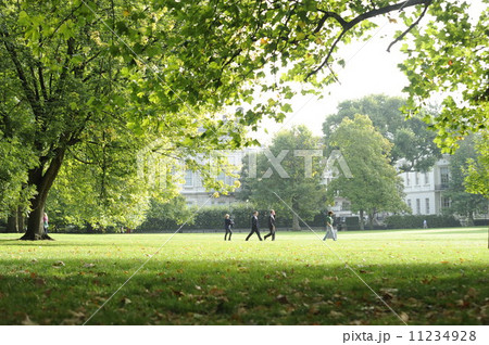 朝のグリーンパーク 朝のグリーンパーク 11234928