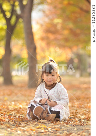 秋の公園 秋の公園 11235331