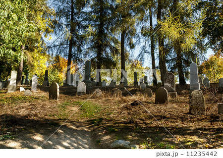 forgotten and unkempt Jewish cemetery with the strangers 11235442