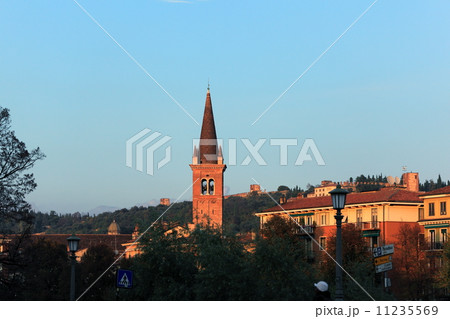 ベローナ 11235569