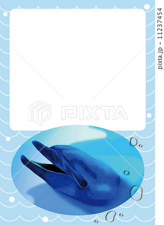 波パターンとイルカのポストカードフォトフレーム 波パターンとイルカのポストカードフォトフレーム 11237454