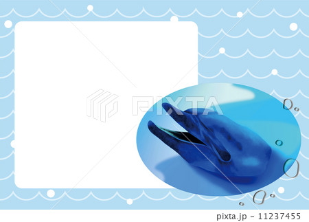 波パターンとイルカのポストカードフォトフレーム 11237455