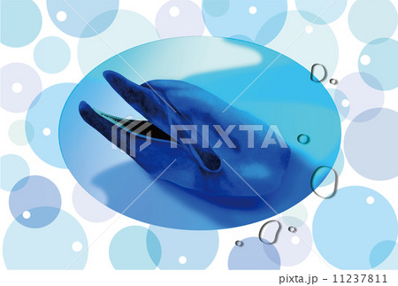 水泡パターンとイルカのポストカードのイラスト素材 [11237811] - PIXTA