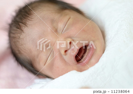 子供 子供 11238064
