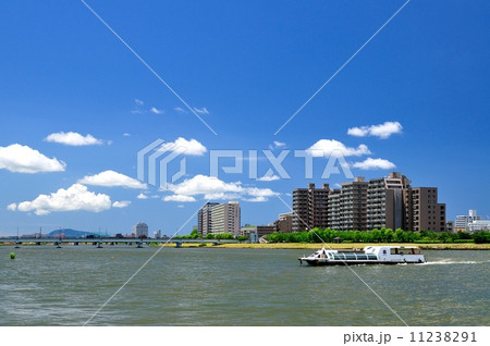 信濃川とマンション 11238291
