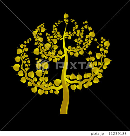 Golden Boh tree Golden Boh tree 11239183