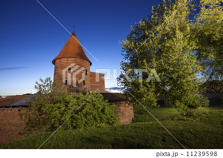 Kaunas Castle, Lithuania 11239598