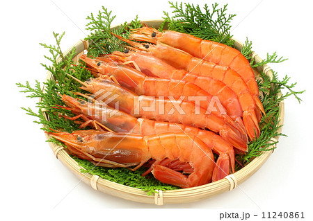 赤海老　アルゼンチン赤海老　生　食材　白背景 11240861