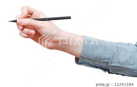 female hand draws by pencil isolated female hand draws by pencil isolated 11241584