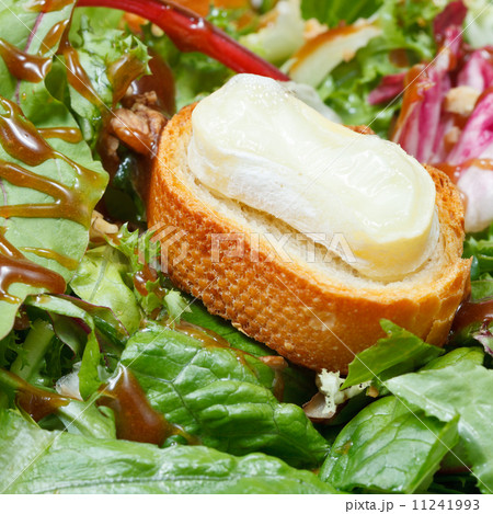 crouton with goat cheese on green lettuche 11241993