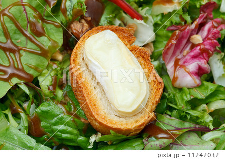 crouton with soft cheese on green lettuche 11242032
