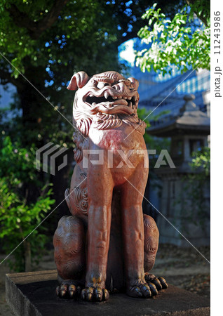 坐摩神社の狛犬 11243986