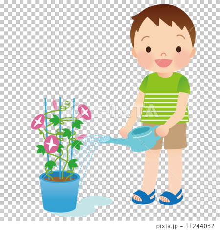 Children summer morning glory Children summer morning glory 11244032