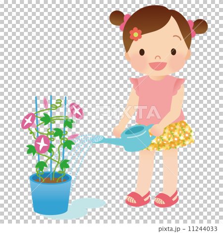 Children summer morning glory 11244033