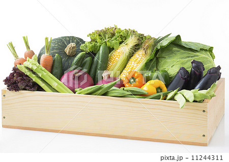野菜 11244311