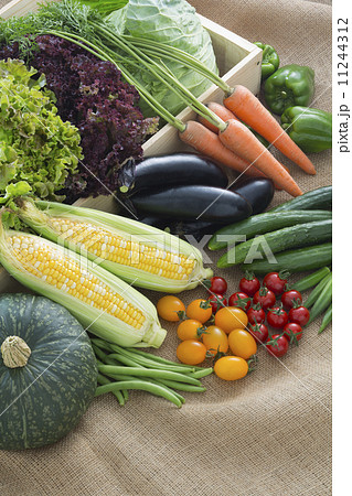 野菜 野菜 11244312