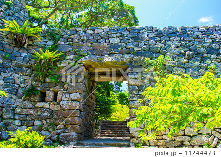 今帰仁城跡 11244473