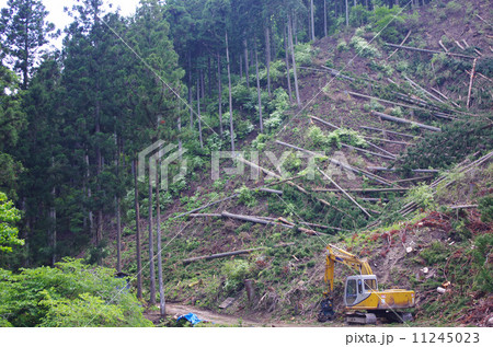 伐採した全ての木を活かす 11245023