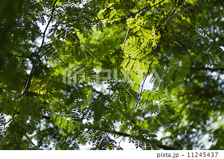 Men's Outdoor Business 11245437