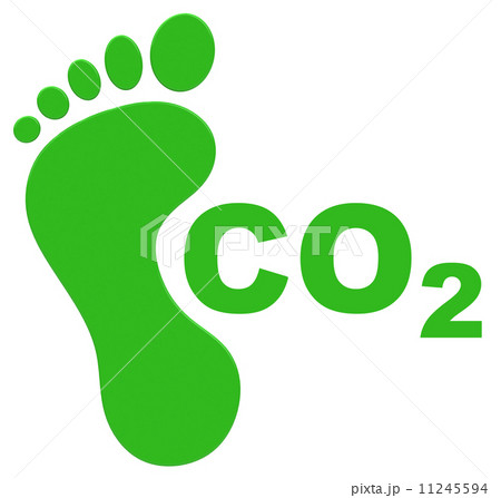 the ecological footprint 11245594