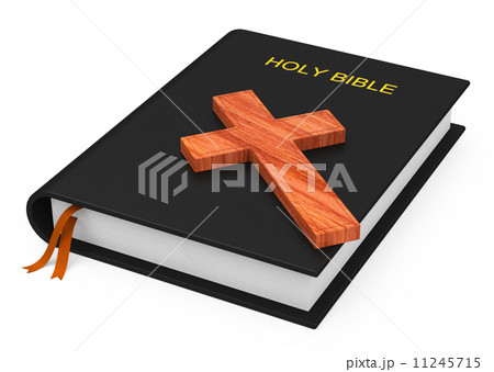 holy bible holy bible 11245715