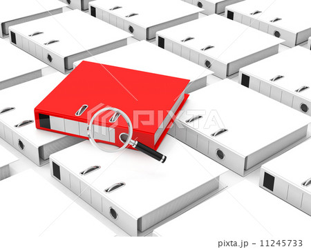 the folder analysis 11245733