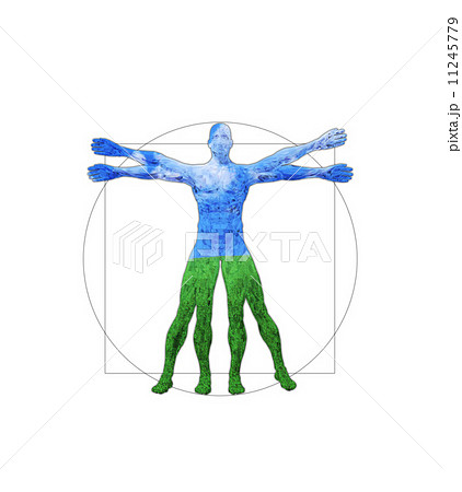 草原の人体のイメージ 草原の人体のイメージ 11245779