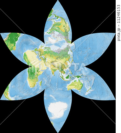 世界植生地図 11246153