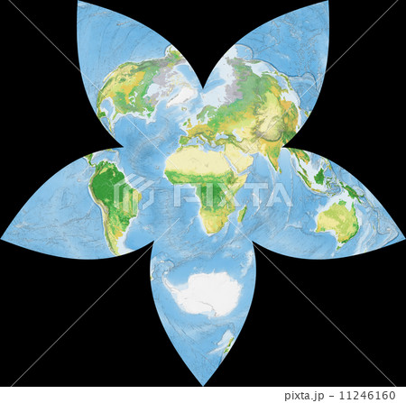 世界植生地図 11246160