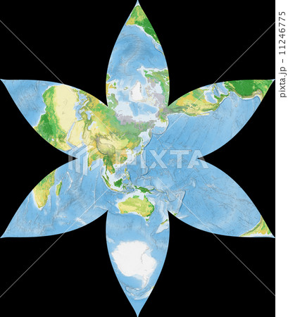 世界植生地図 11246775