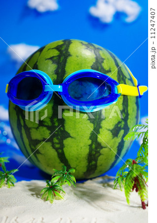 浜辺の記憶 11247407