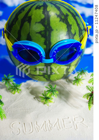 浜辺の記憶 浜辺の記憶 11247408