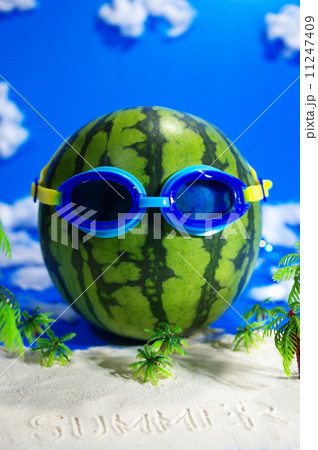 浜辺の記憶 11247409